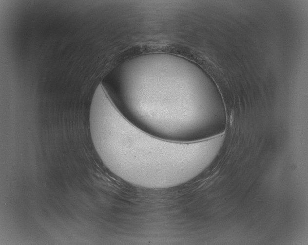X0000070161299200605260928