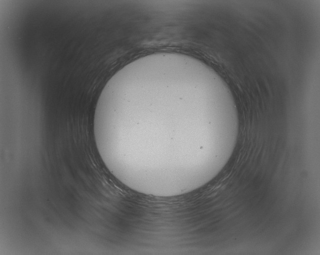 X0000070161300200605260928
