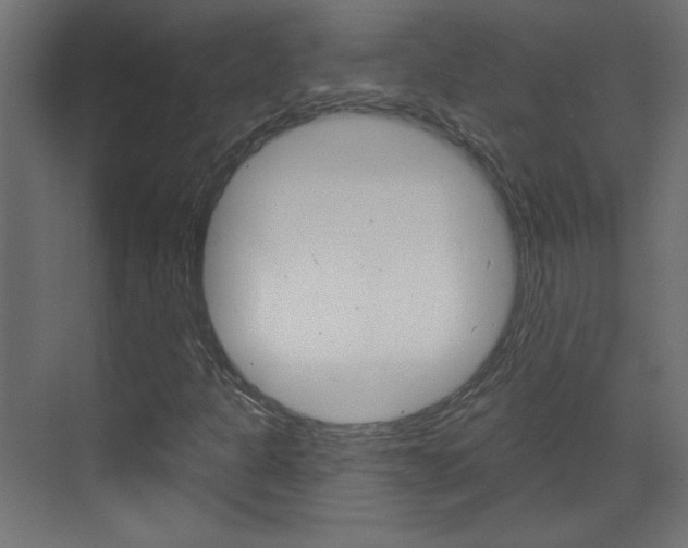 X0000070161301200605260928