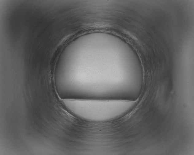 X0000070161306200605260928