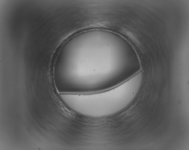 X0000070161308200605260928
