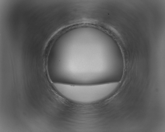 X0000070161310200605260928
