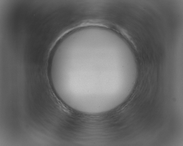 X0000070161312200605260928
