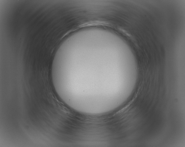 X0000070161313200605260928