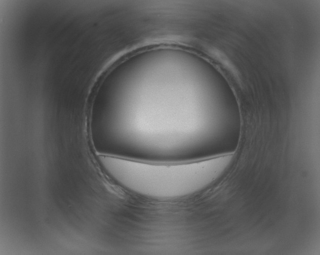 X0000070161316200605260928
