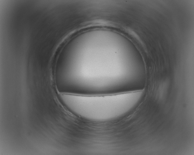 X0000070161318200605260928