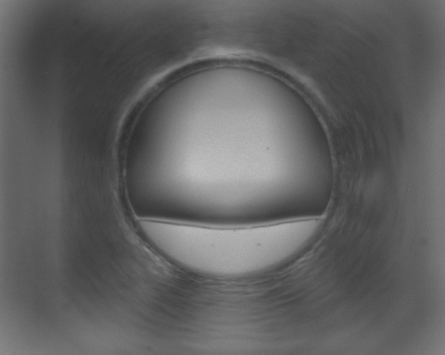 X0000070161319200605260928