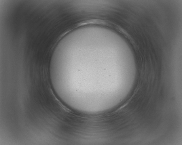 X0000070161321200605260928