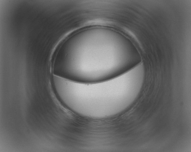 X0000070161323200605260928