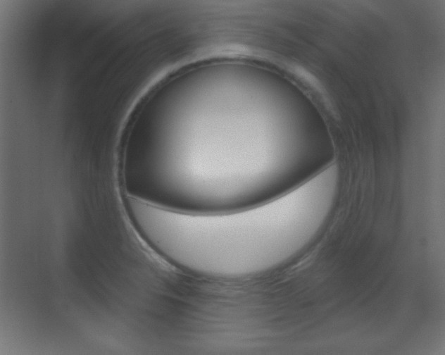 X0000070161326200605260929