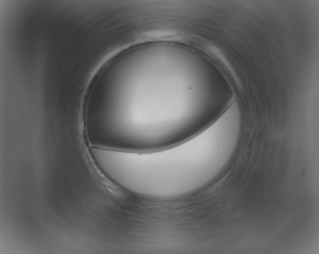 X0000070161328200605260929
