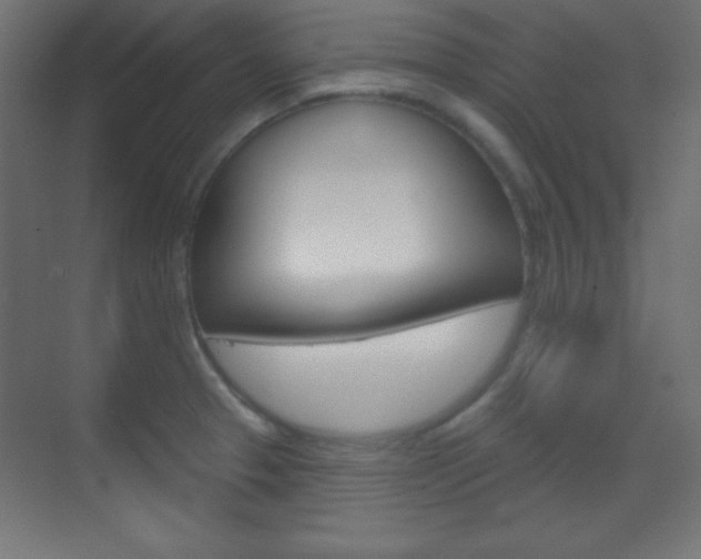 X0000070161329200605260929