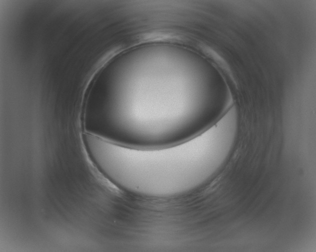 X0000070161330200605260929
