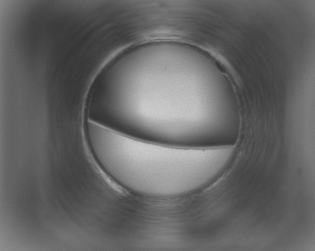 X0000070161333200605260929