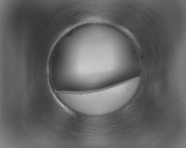 X0000070161335200605260929