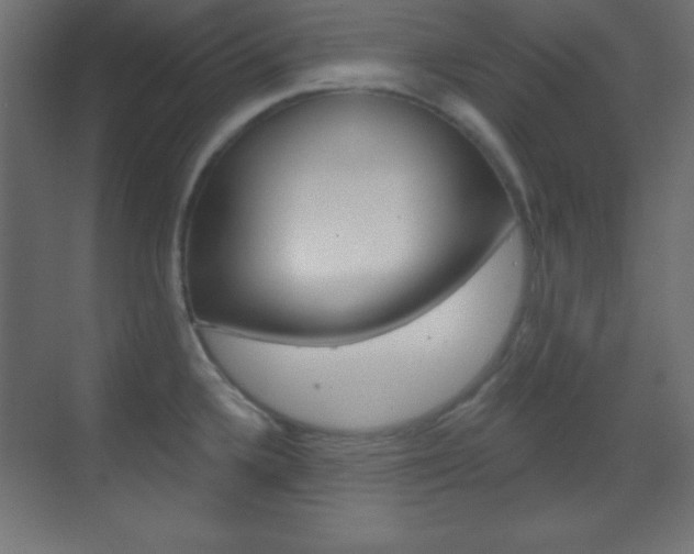 X0000070161336200605260929