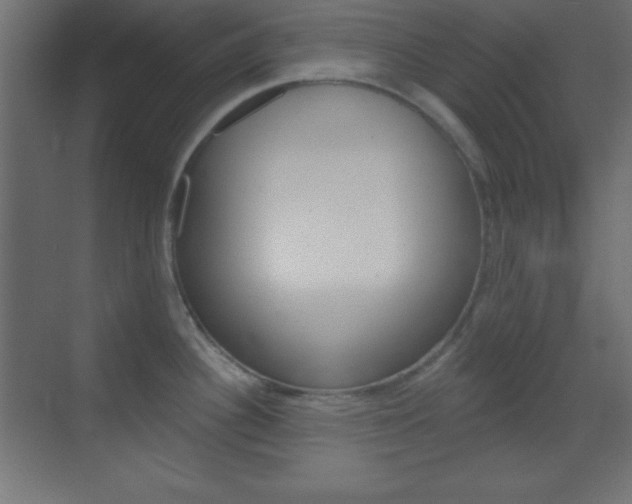 X0000070161340200605260929