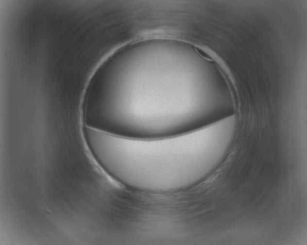 X0000070161341200605260929