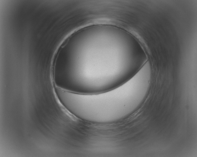 X0000070161342200605260929