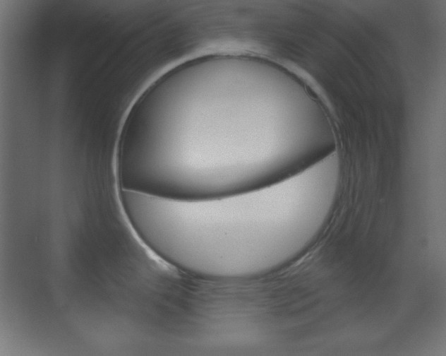 X0000070161343200605260929
