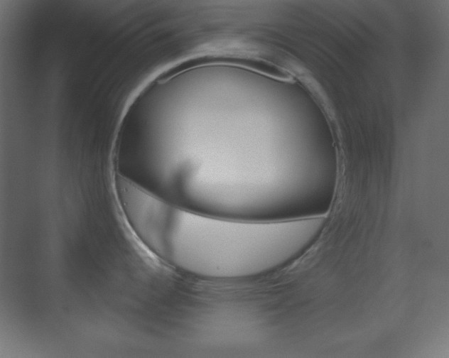 X0000070161344200605260929