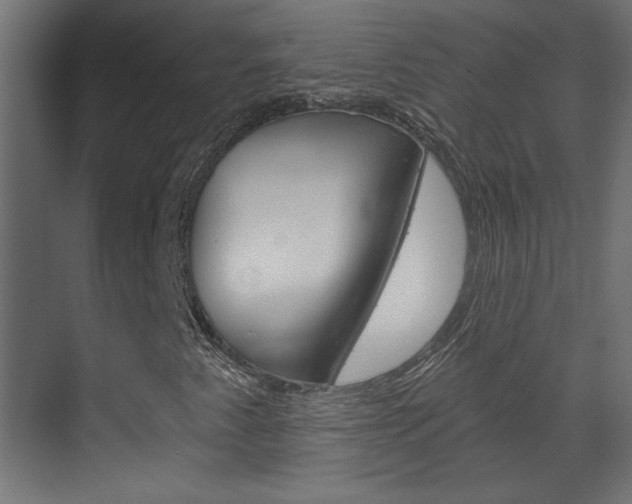 X0000070161345200605260928