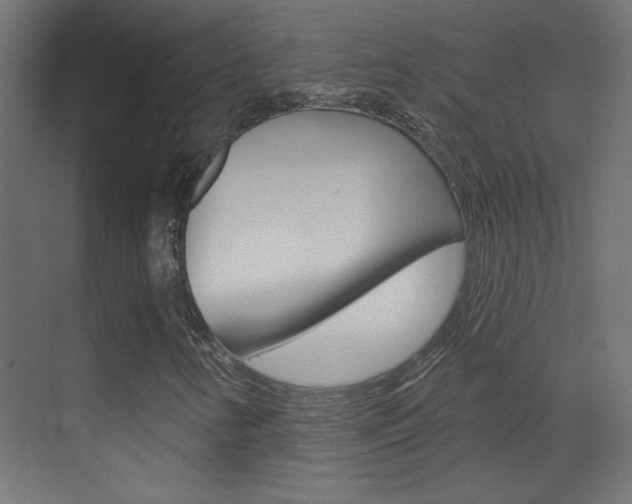 X0000070161346200605260928