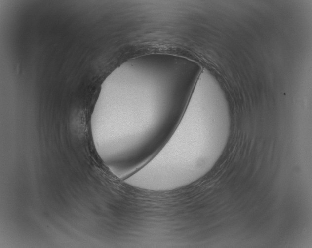 X0000070161347200605260928