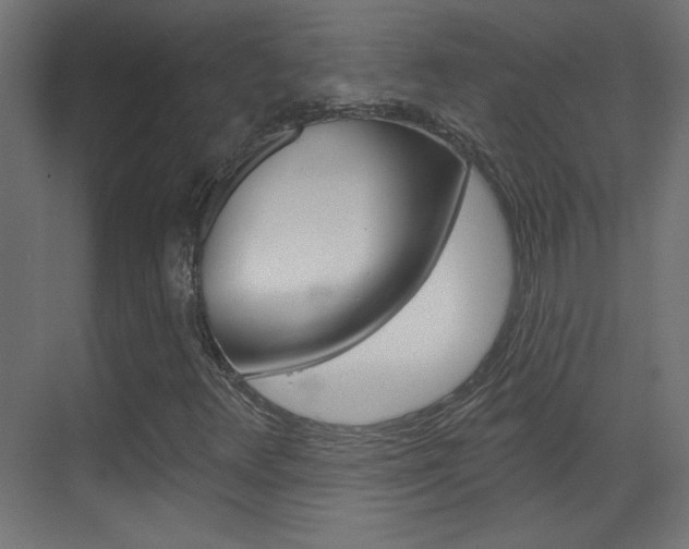 X0000070161348200605260928