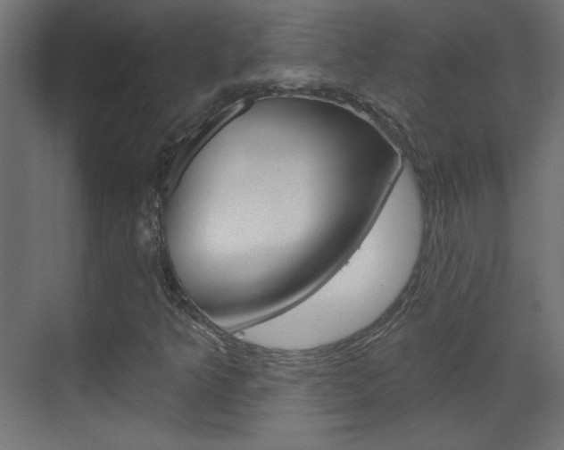 X0000070161349200605260928