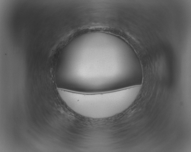 X0000070161351200605260928