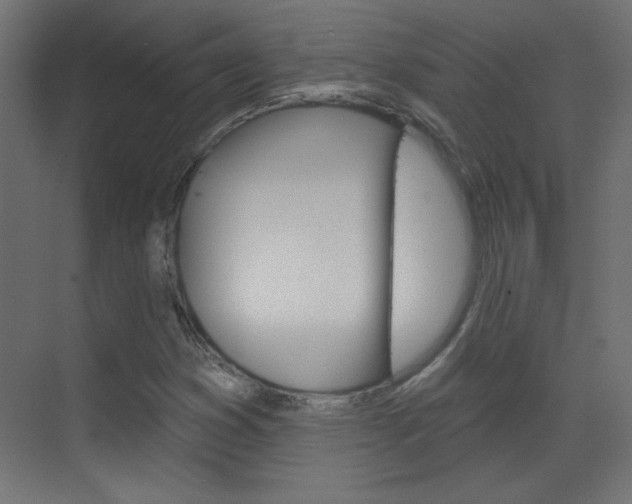 X0000070161353200605260928