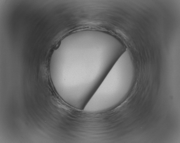 X0000070161354200605260928