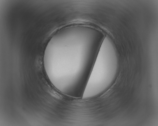 X0000070161355200605260928
