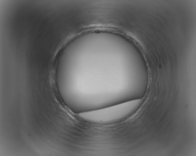 X0000070161357200605260928