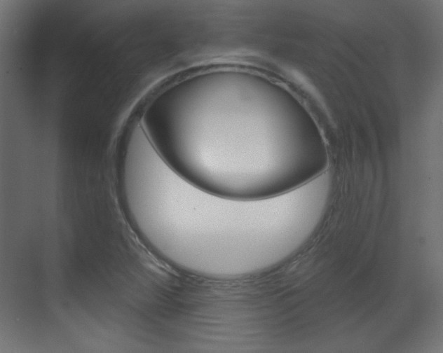 X0000070161360200605260928