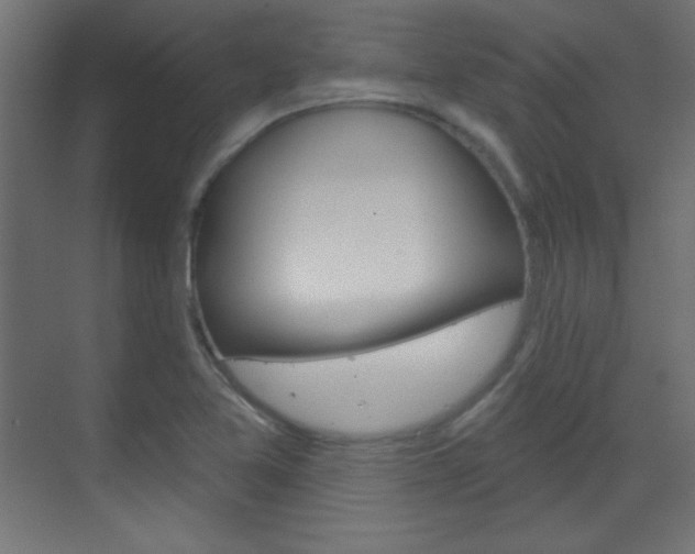 X0000070161365200605260928
