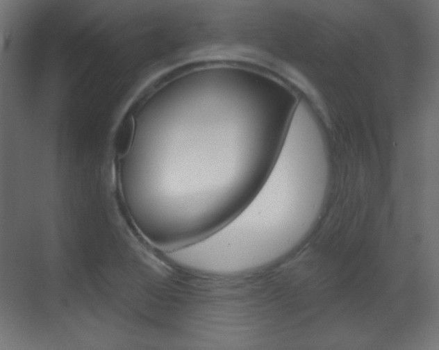 X0000070161368200605260928