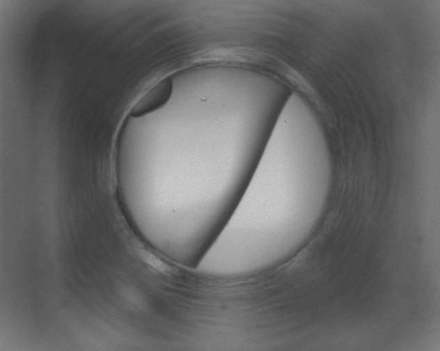 X0000070161370200605260928