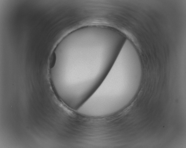 X0000070161374200605260928