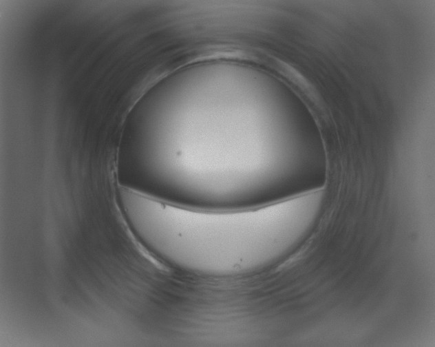 X0000070161377200605260927