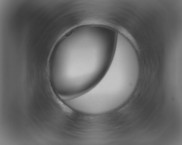 X0000070161380200605260927