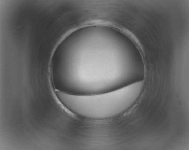 X0000070161381200605260927