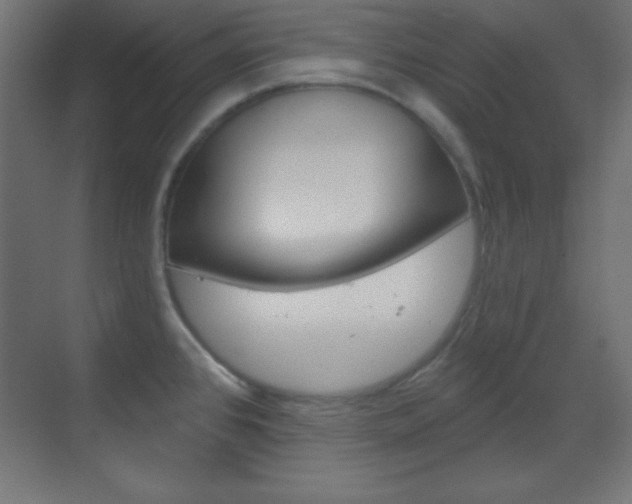X0000070161384200605260927