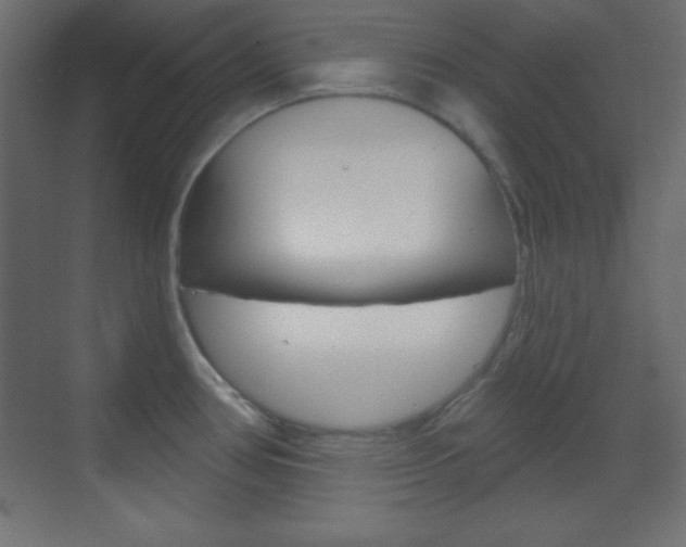 X0000070161386200605260927