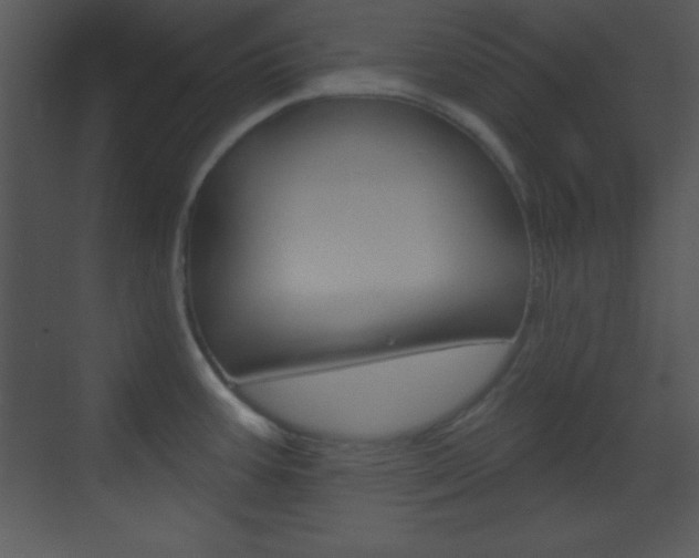X0000070161387200605260927