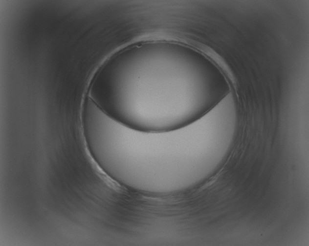 X0000070161388200605260927