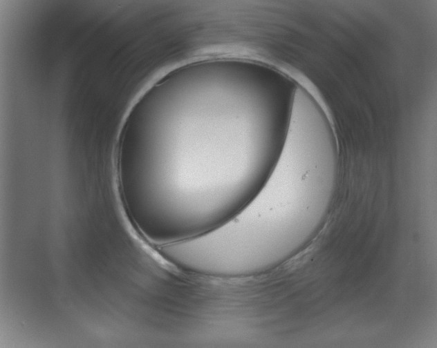 X0000070161389200605260927