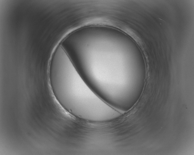 X0000070161392200605260927