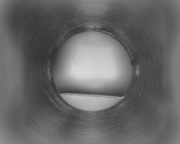 X0000070161396200605260926